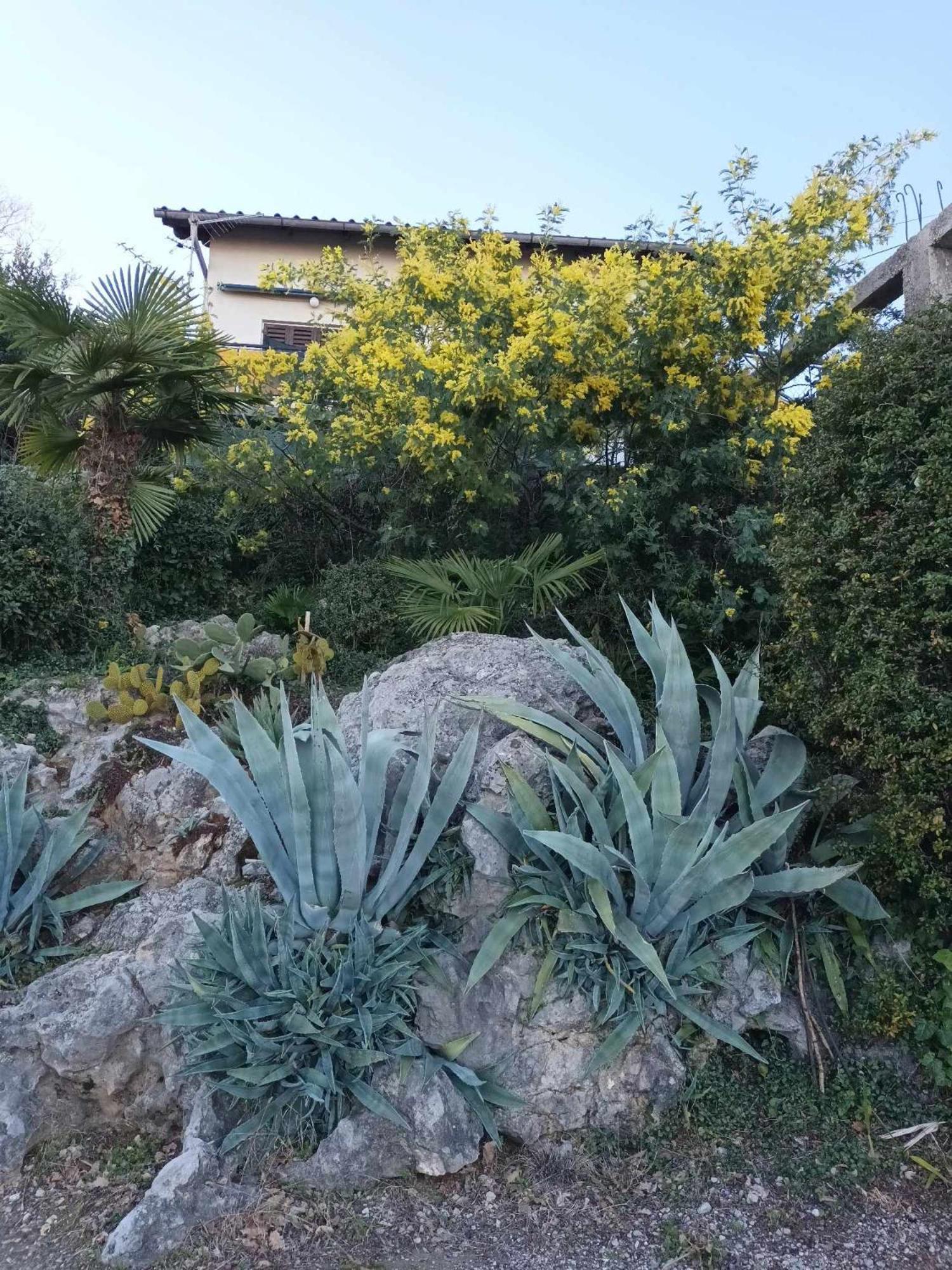 Apartment Relax Οπατία Εξωτερικό φωτογραφία